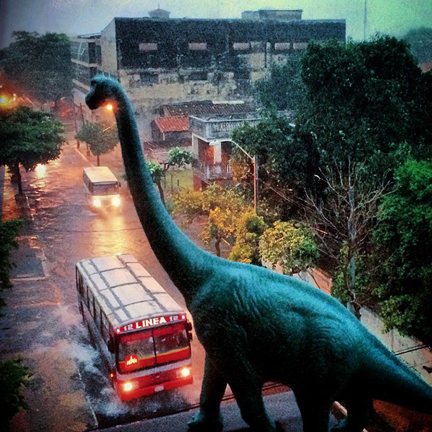 Gezi-Fotoğrafçılık-Oyuncaklar-Dinozorlar-Jorge-Saenz (14)