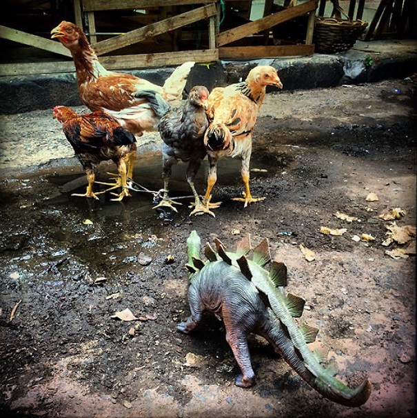 Gezi-Fotoğrafçılık-Oyuncaklar-Dinozorlar-Jorge-Saenz (23)